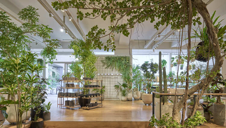 noderiumの店内風景
