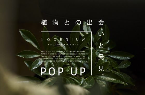 NODERIUM STORE ～ 植物との出会いと発見 ～　POP UP STORE / ショップイベント