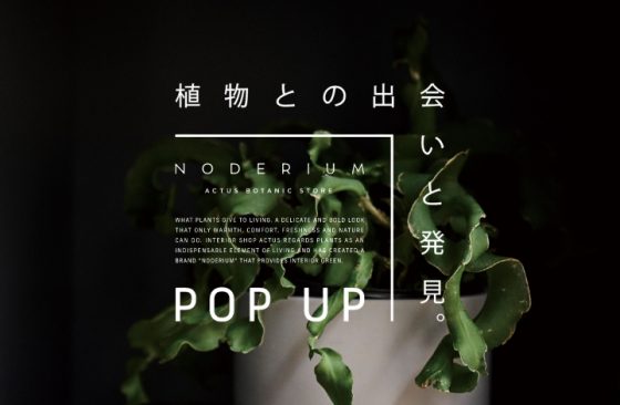 NODERIUM STORE ～ 植物との出会いと発見 ～　POP UP STORE / ショップイベント