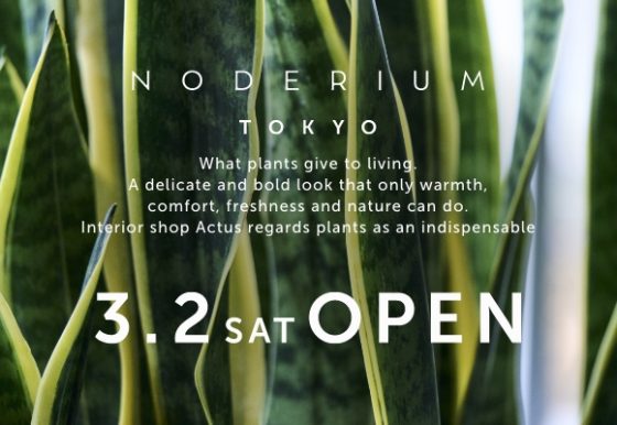 インテリアグリーン専門ショップ 「ノードリウム」がアクタス・新宿店にオープンしました
