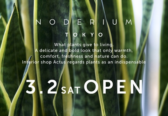 インテリアグリーン専門ショップ 「ノードリウム」がアクタス・新宿店に3/2(土)オープン！