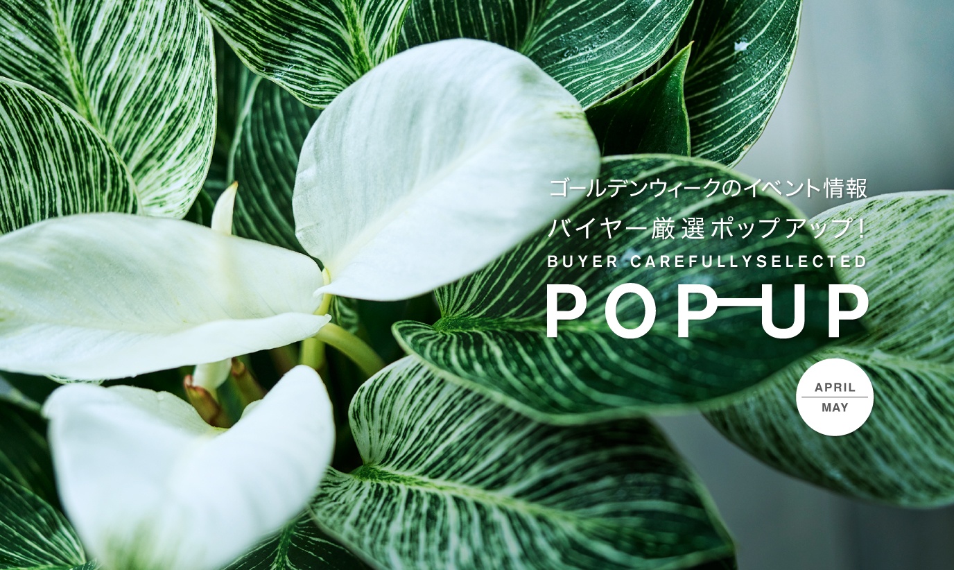 アクタス,インテリア,インテリアショップ,暮らし,コーディネート,雑貨,ポップアップ,