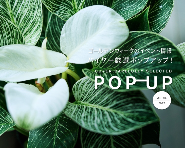 アクタス,インテリア,インテリアショップ,暮らし,コーディネート,雑貨,ポップアップ,