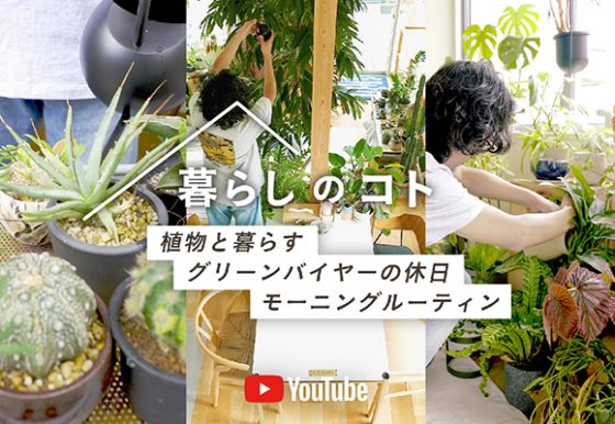 YouTube｜【モーニングルーティン】植物のメンテナンスと水やり