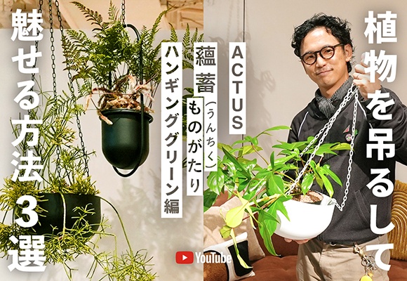 【蘊蓄ものがたり】ハンギンググリーン編