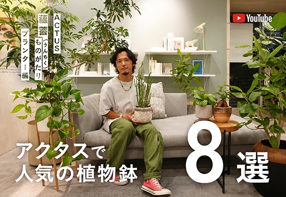 インテリアに映える人気のプランター８選