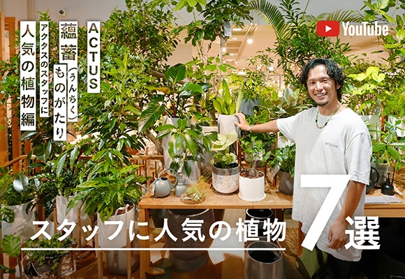 【蘊蓄ものがたり】スタッフが自宅で育てている観葉植物７選