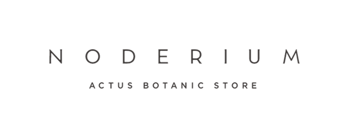 NODERIUM