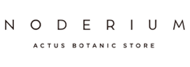 NODERIUM