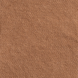 TN01B