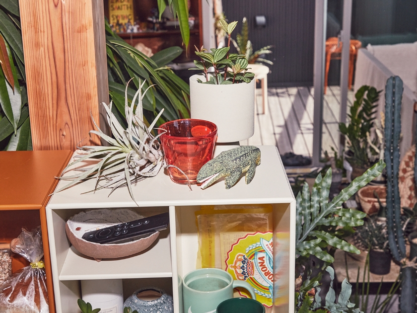 good eighty %なもの／植物