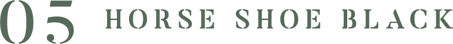 Q5. HORSE SHOE BLACK
