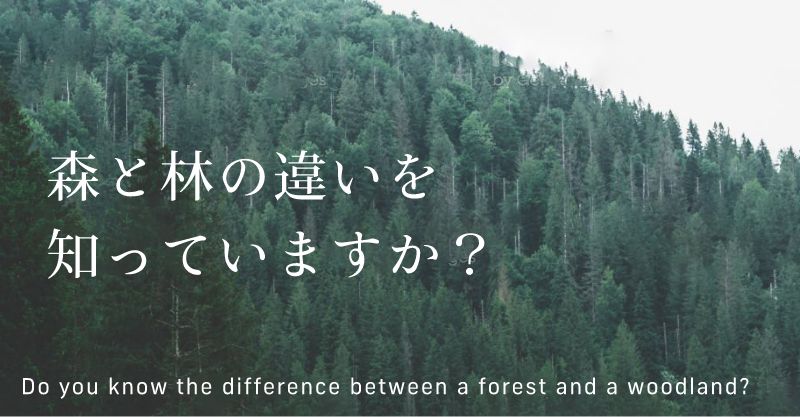 森と林の違いを知っていますか？