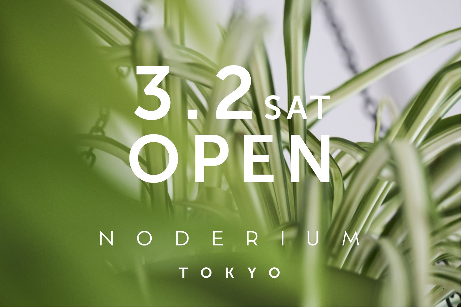 3.2 SAT OPEN NODERIUM TOKYO