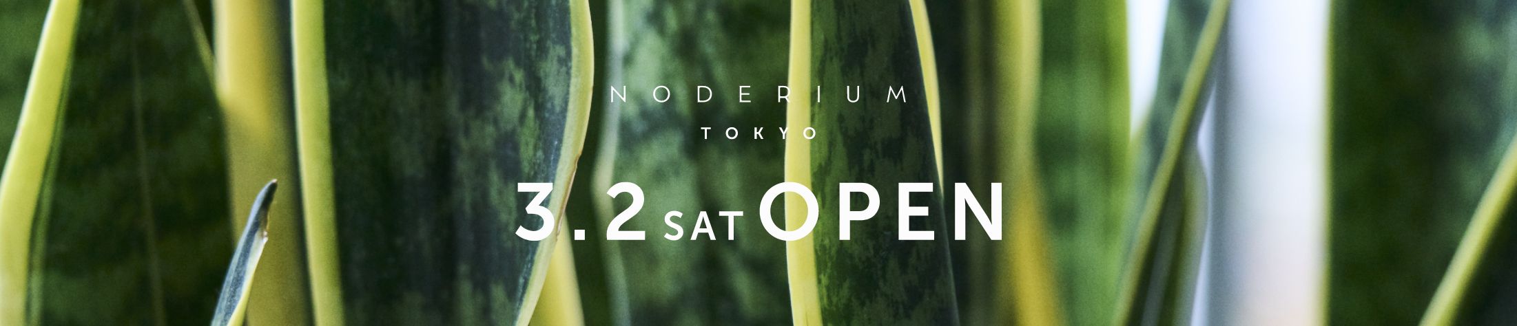 NODERIUM TOKYO 3.2 SAT OPEN