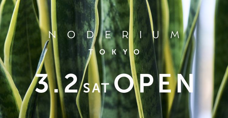 NODERIUM TOKYO 3.2 SAT OPEN