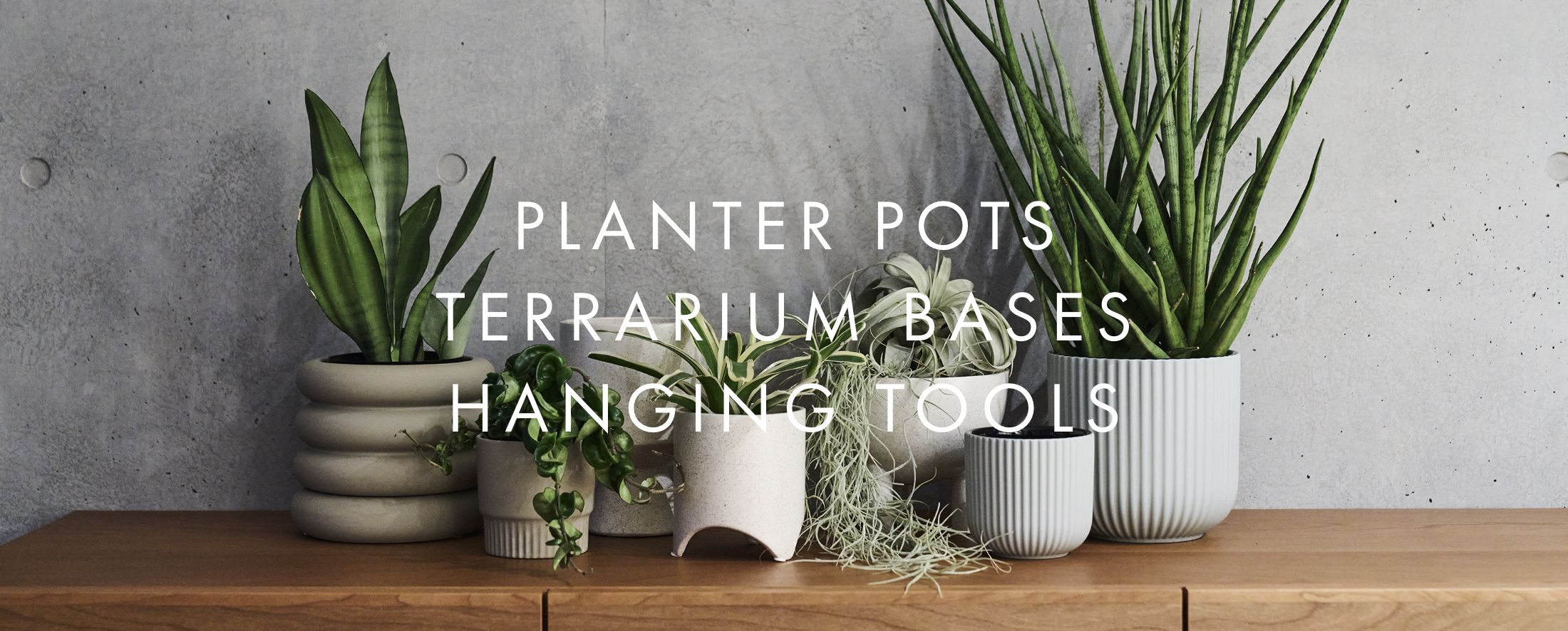 Planter pots terrarium bases hanging tools