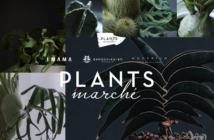 〈POPUP〉PLANTS marché@ノードリウム・京都