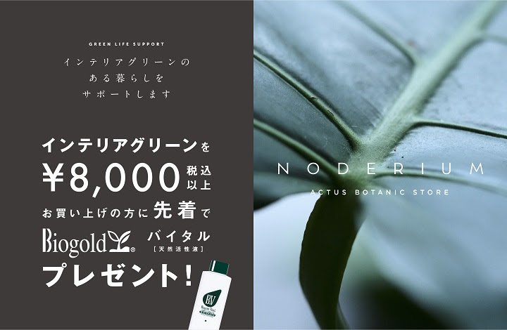 プレゼントキャンペーン開催