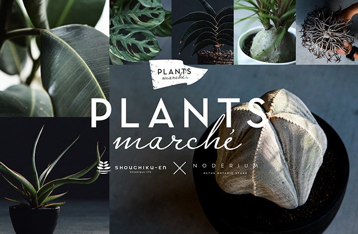 〈POPUP〉PLANTS marché@ノードリウム・新宿＠ノードリウム・京都